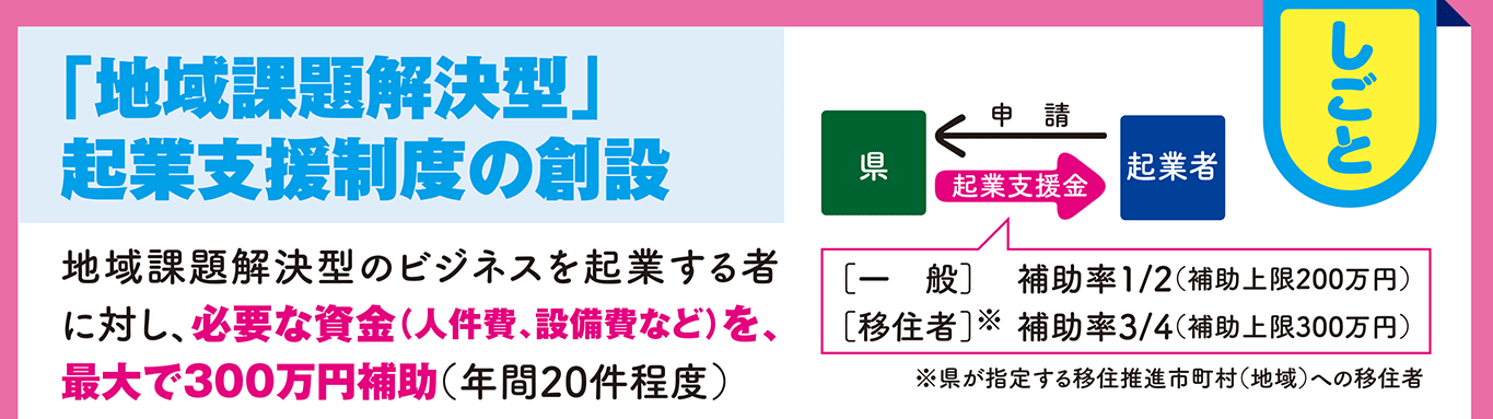 「地域課題解決型」企業支援制度の創設